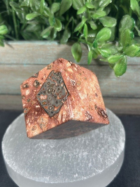 Leopard Skin Jasper Cube