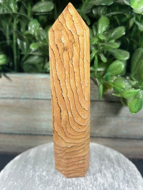 Wood Grain Jasper Tower