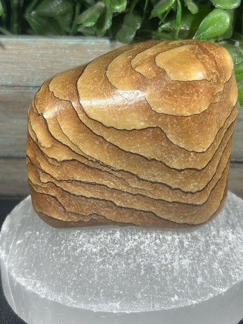 Wood Grain Jasper Freeform