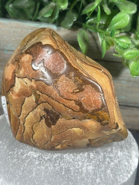 Wood Grain Jasper Freeform