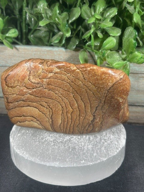 Wood Grain Jasper Freeform