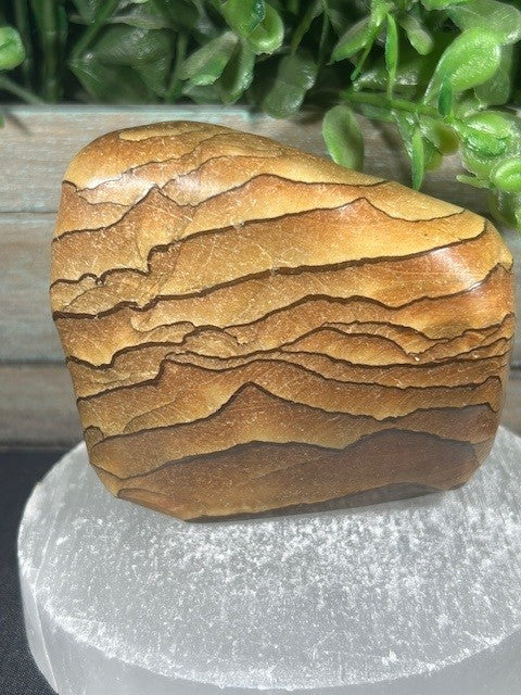 Wood Grain Jasper Freeform