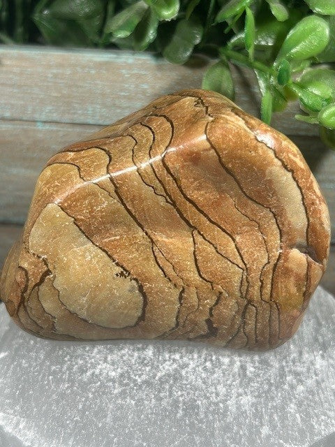 Wood Grain Jasper Freeform