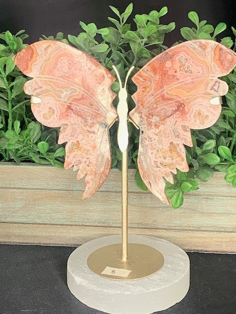 Pink Crazy Lace Butterfly on stand