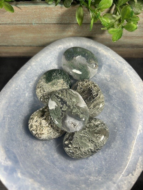 Moss Agate Palms