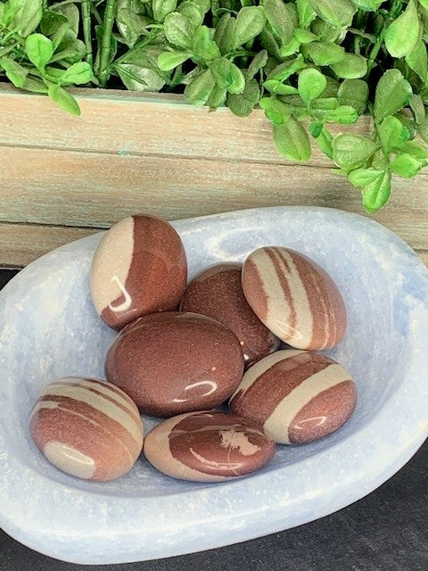 Shiva Lingam Palms
