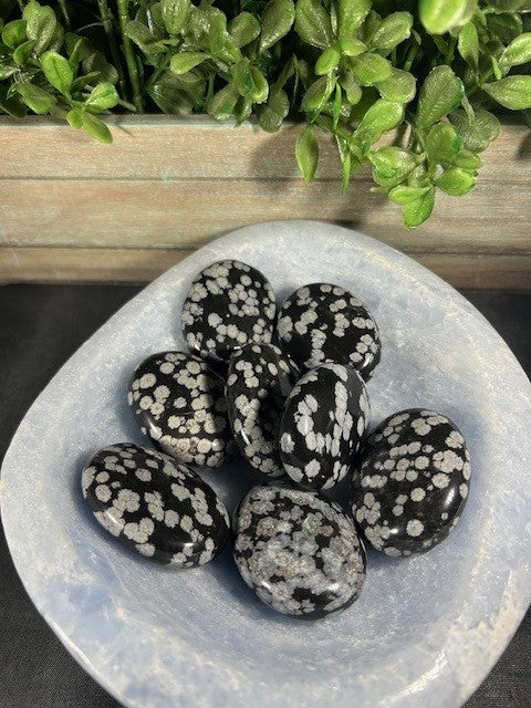 Snowflake Obsidian Palms