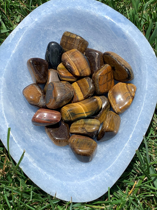 Tiger Eye Tumble
