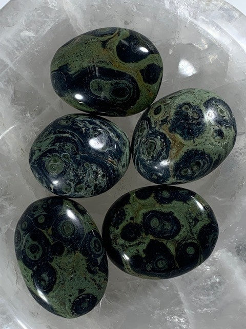 Kambaba Jasper Palm